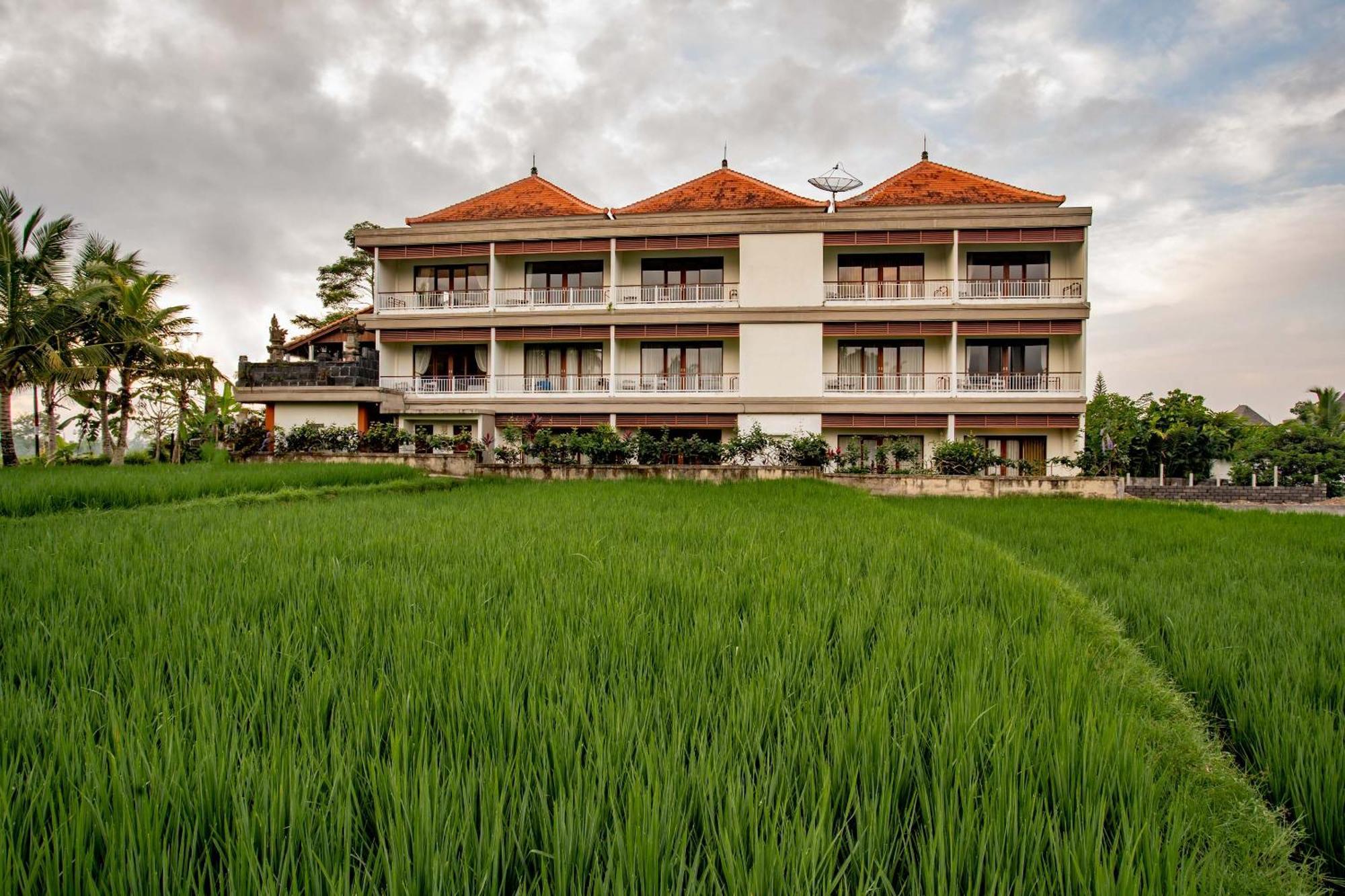 Hotel Paon Desa Ubud (Bali)